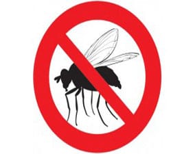 lutte contre les mouches